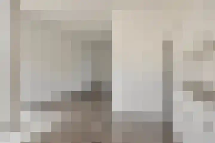 Oranjerie 42 Leek thumbnail 8