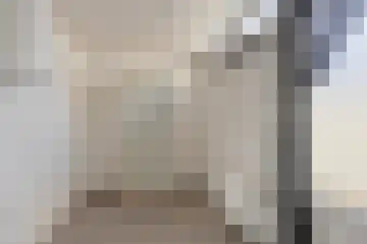 Oranjerie 42 Leek thumbnail 9