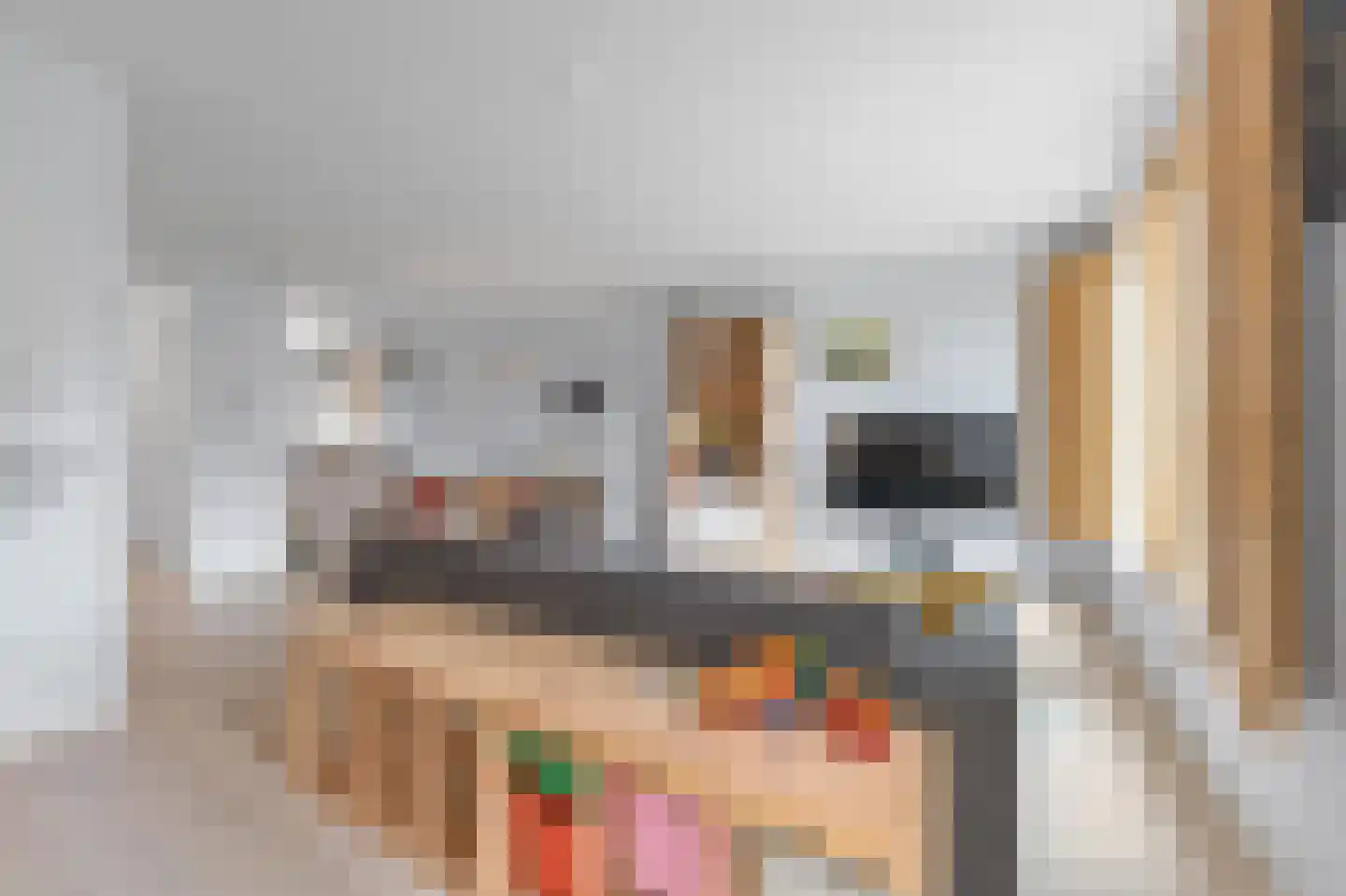 Oranjerie 6 Rijswijk thumbnail 11