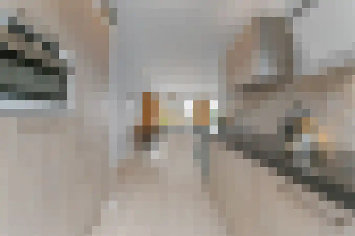 Oranjerie 6 Rijswijk thumbnail 14