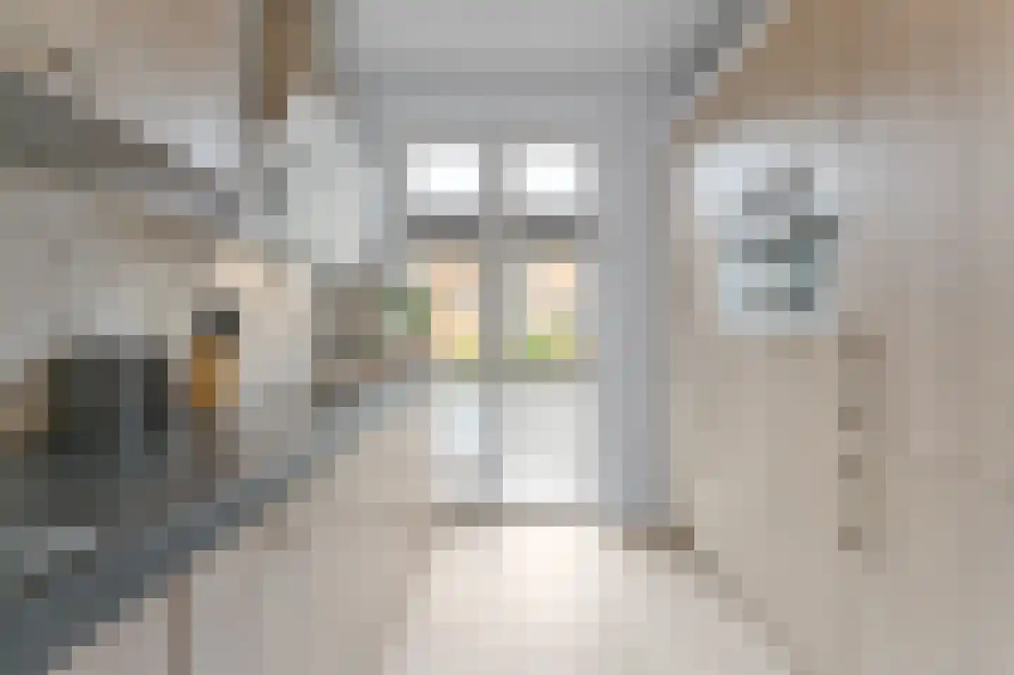 Oranjerie 6 Rijswijk thumbnail 15