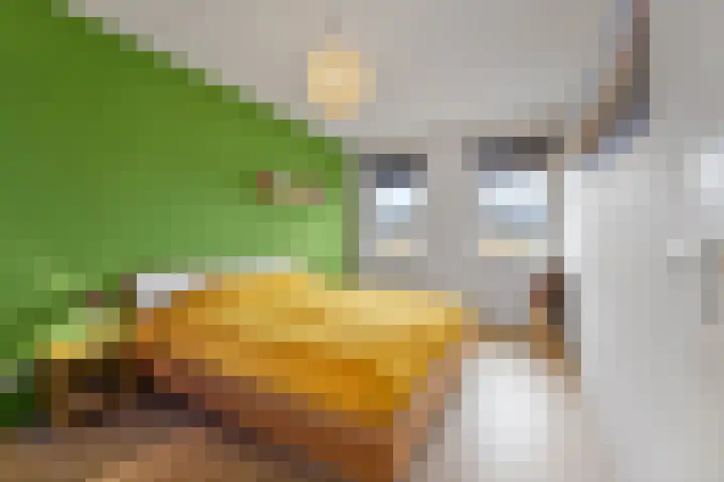 Oranjerie 6 Rijswijk thumbnail 27