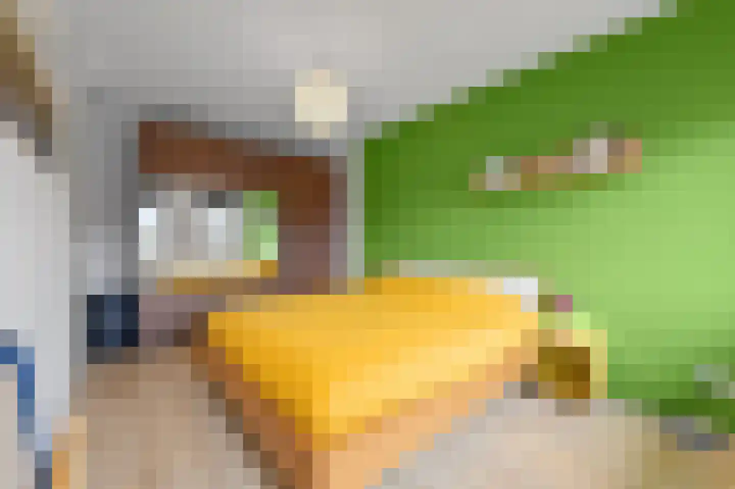 Oranjerie 6 Rijswijk thumbnail 28