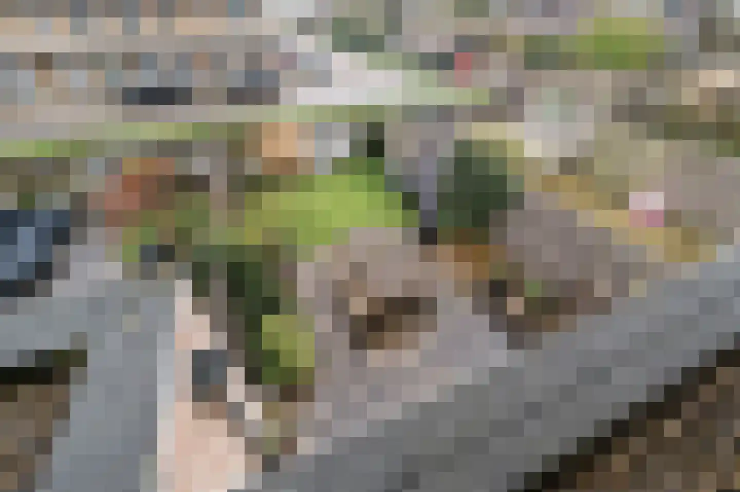 Oranjerie 6 Rijswijk thumbnail 30