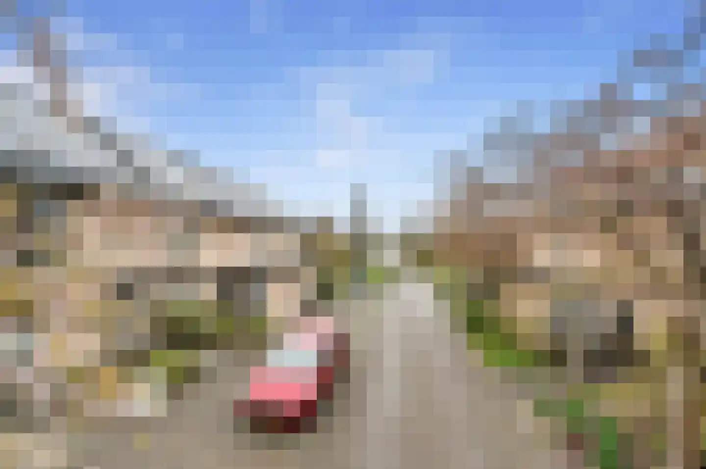 Oranjerie 6 Rijswijk thumbnail 4