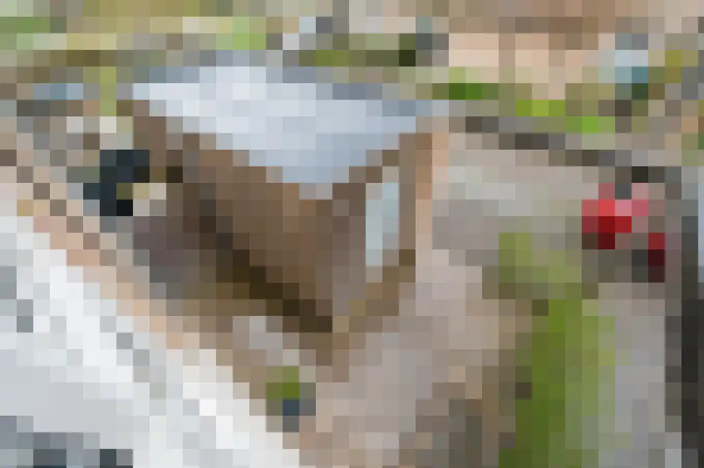 Oranjerie 6 Rijswijk thumbnail 41