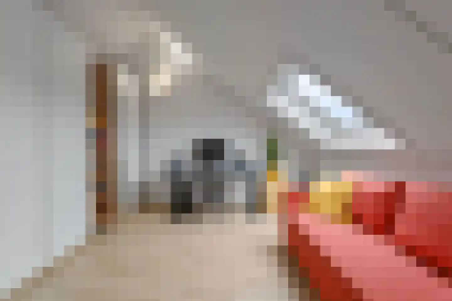 Oranjerie 6 Rijswijk thumbnail 43