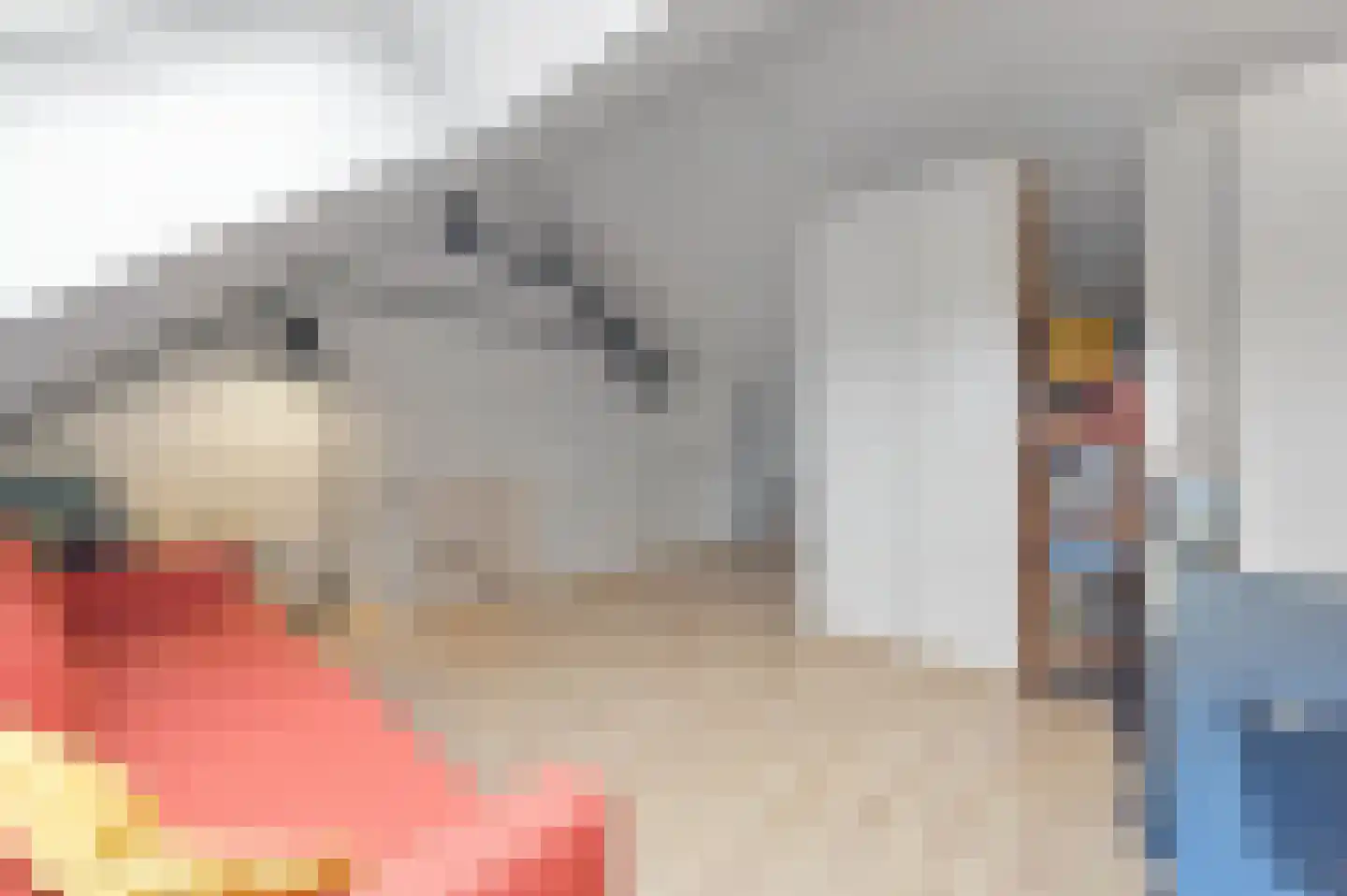 Oranjerie 6 Rijswijk thumbnail 44