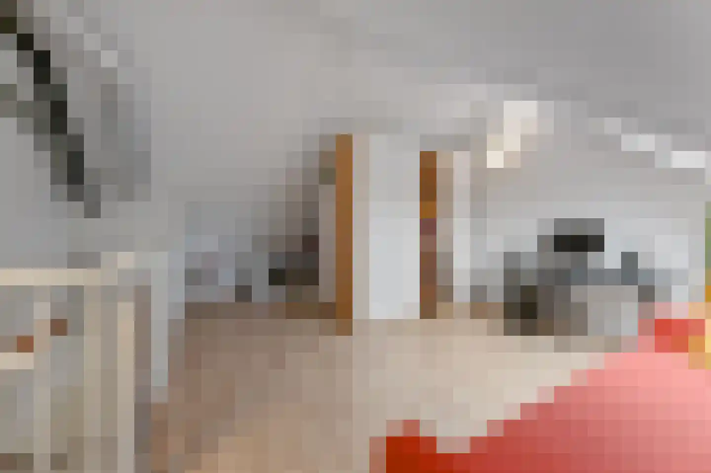 Oranjerie 6 Rijswijk thumbnail 46