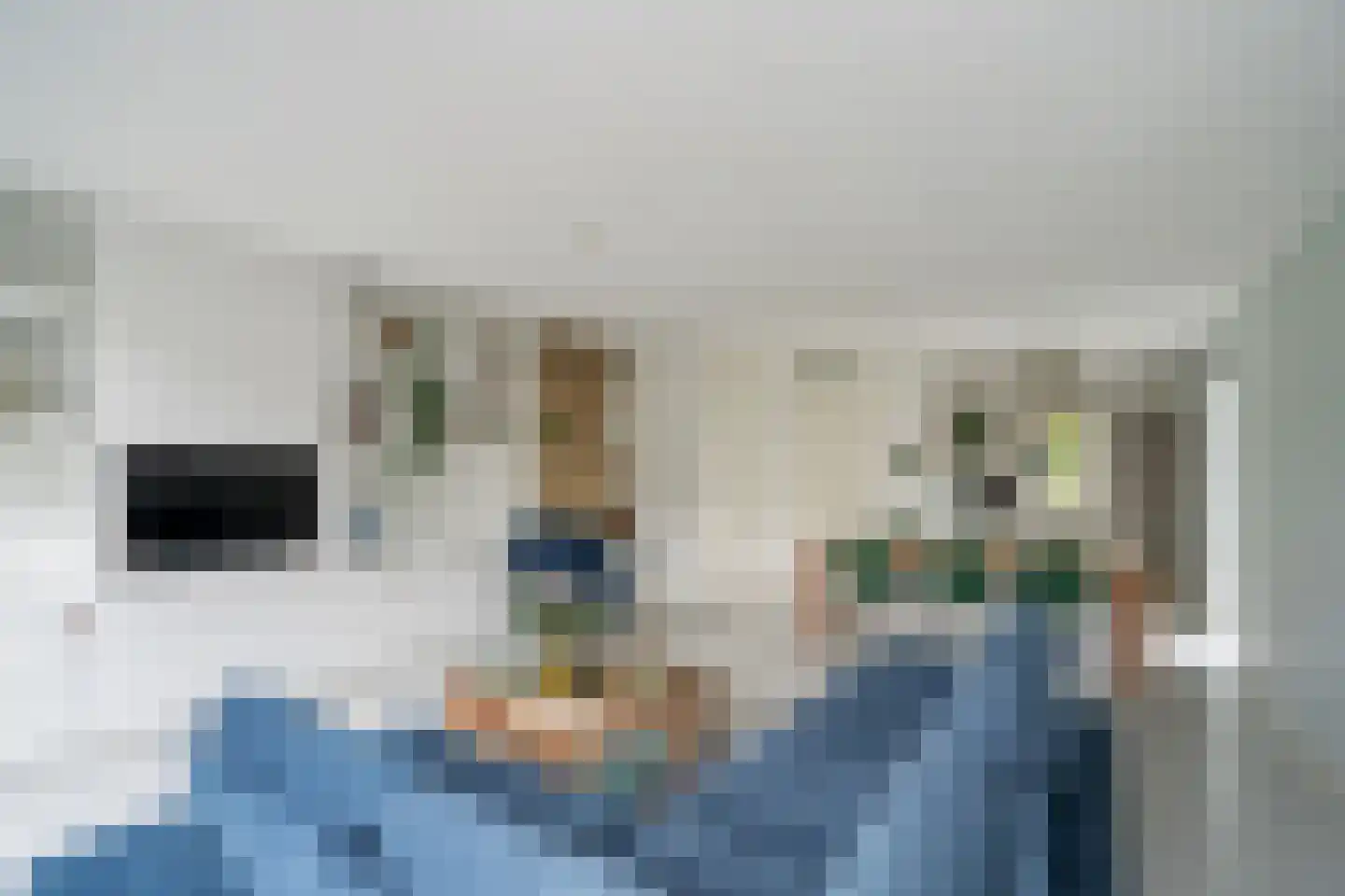 Oranjerie 8 Rijswijk thumbnail 11