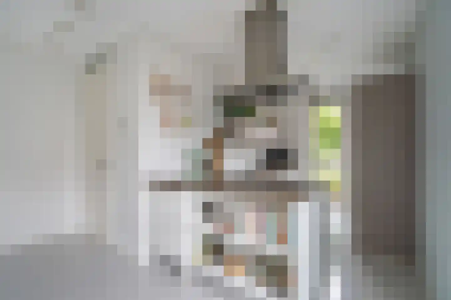 Oranjerie 8 Rijswijk thumbnail 13