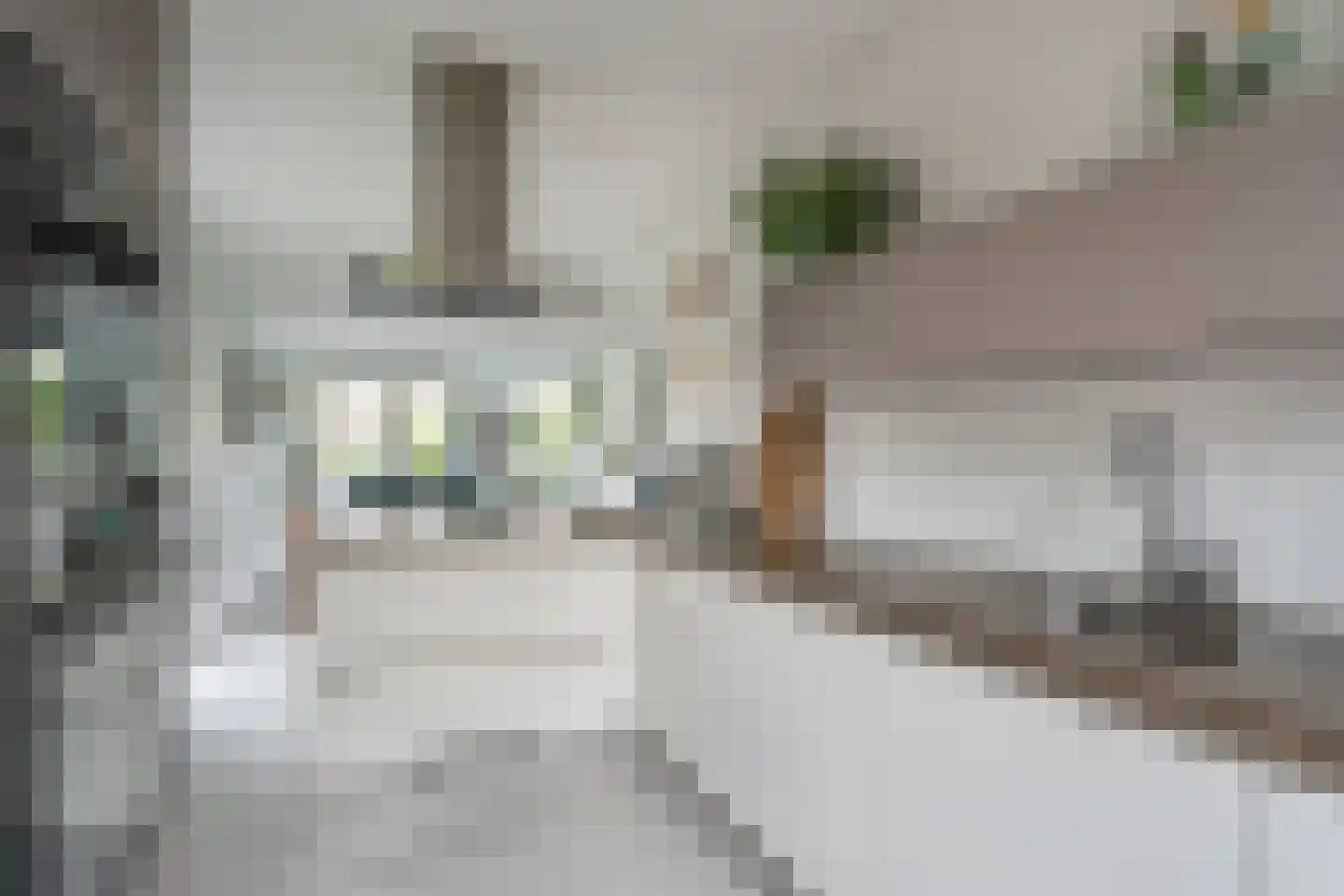 Oranjerie 8 Rijswijk thumbnail 14