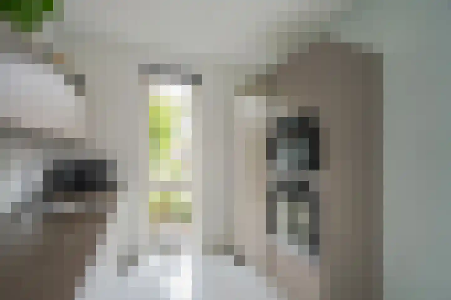 Oranjerie 8 Rijswijk thumbnail 15