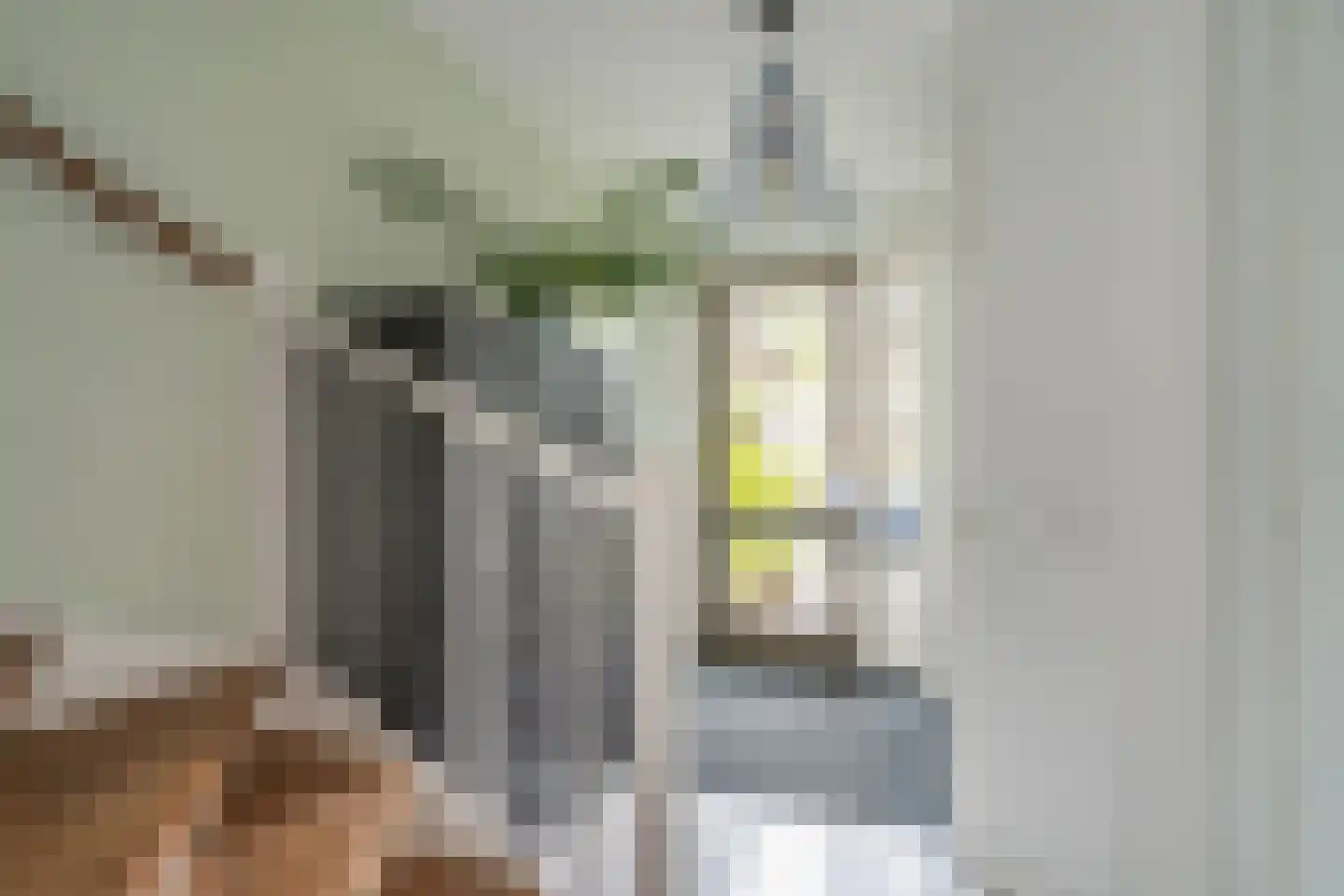 Oranjerie 8 Rijswijk thumbnail 21