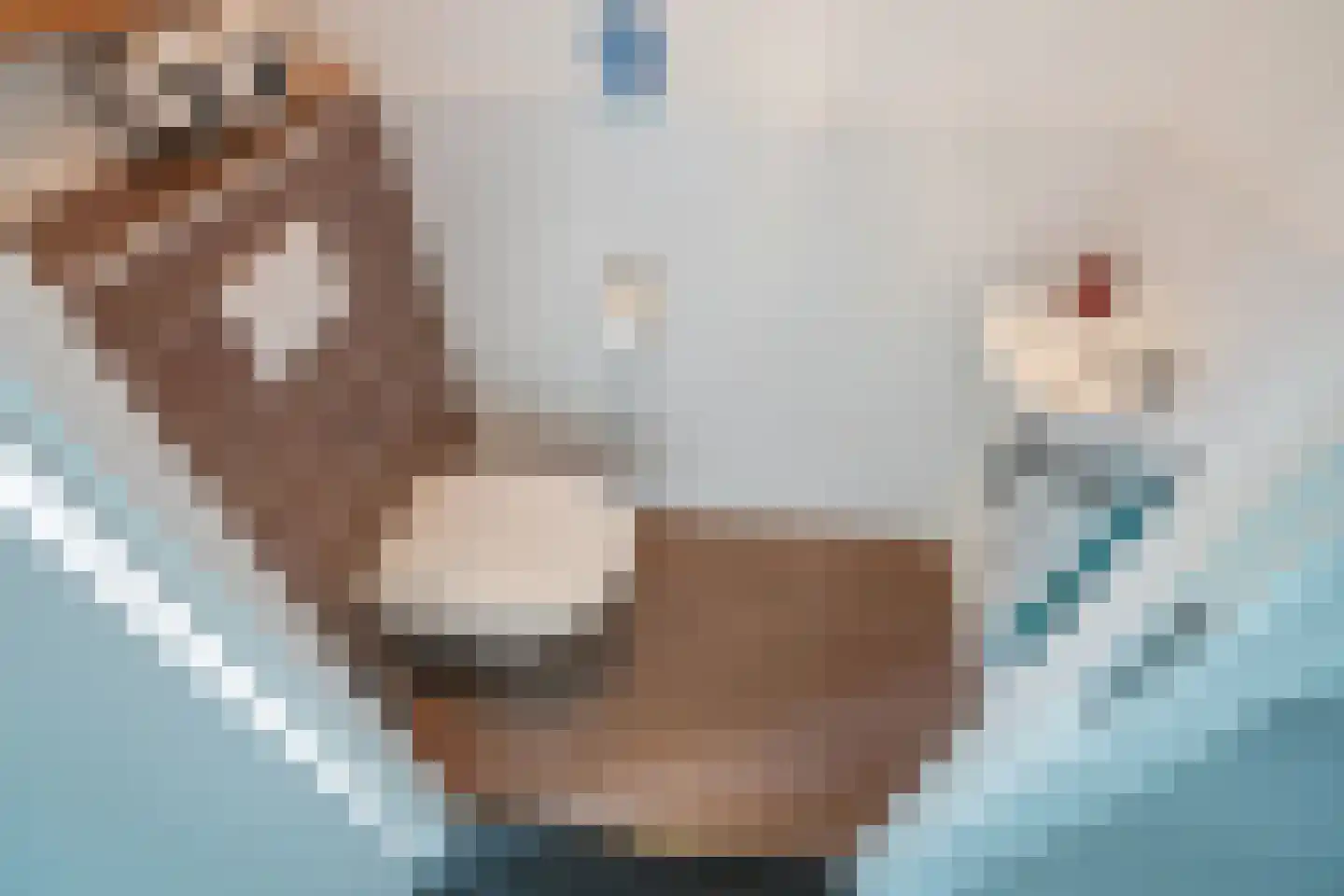 Oranjerie 8 Rijswijk thumbnail 22
