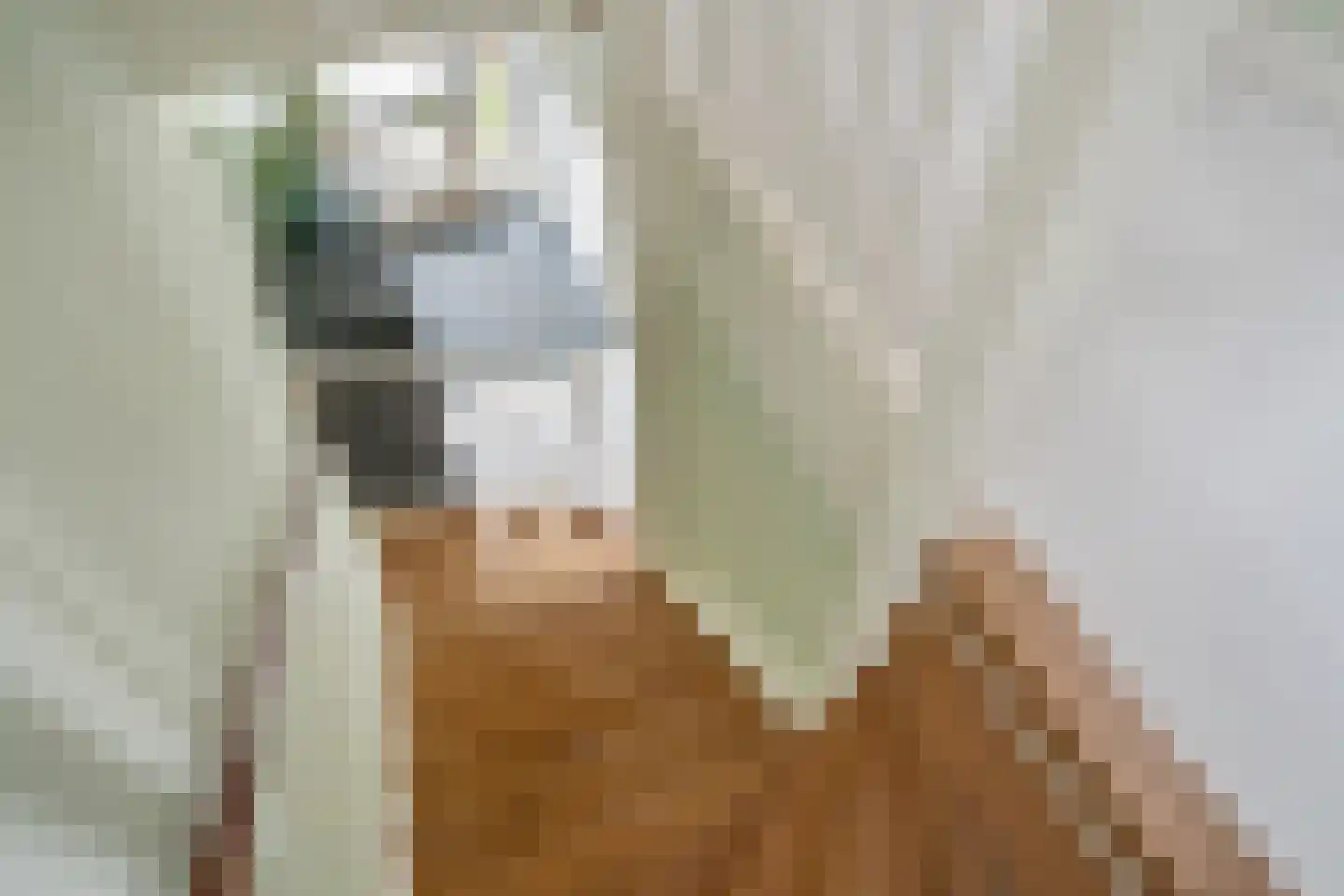 Oranjerie 8 Rijswijk thumbnail 23