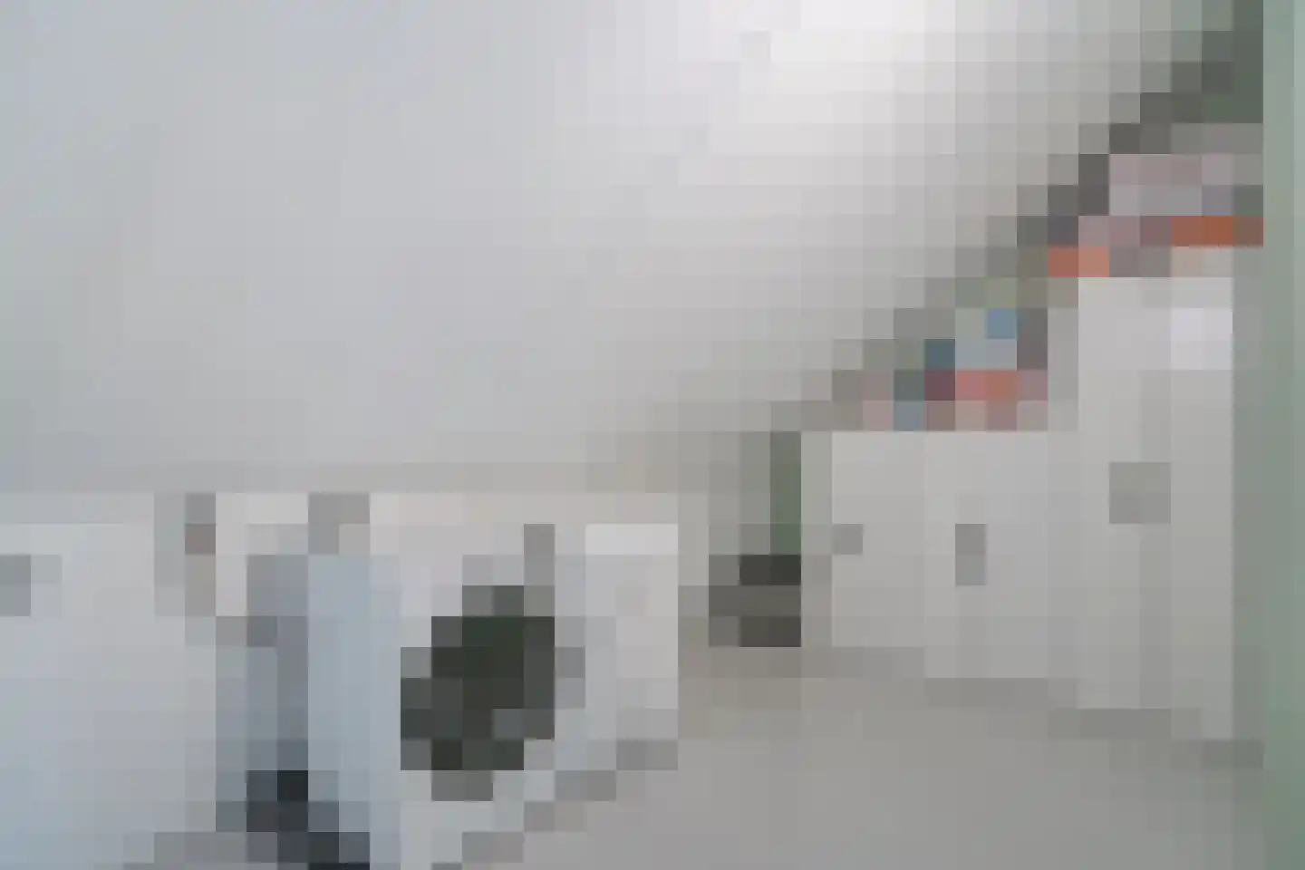 Oranjerie 8 Rijswijk thumbnail 34