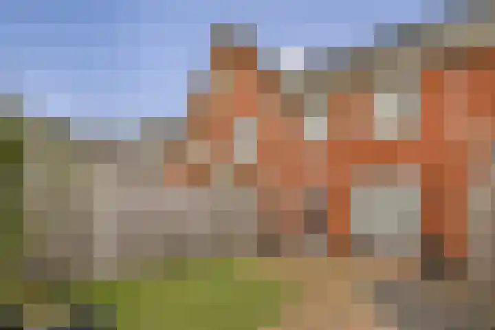 Oranjerie 9 Dordrecht thumbnail 18