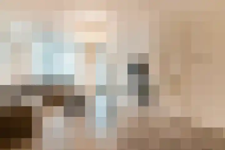 Oranjerie 9 Dordrecht thumbnail 4