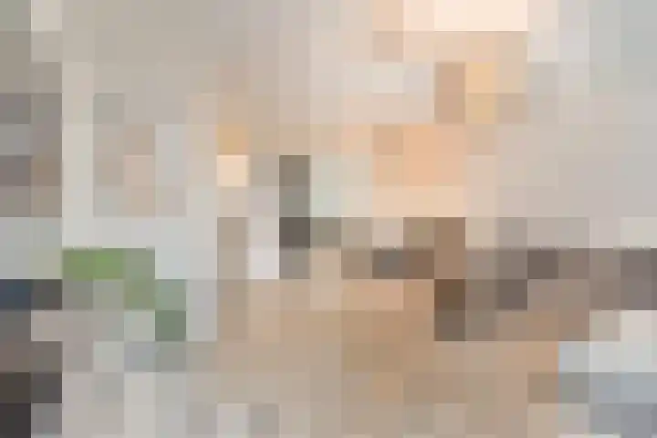 Oranjerie 9 Dordrecht thumbnail 5