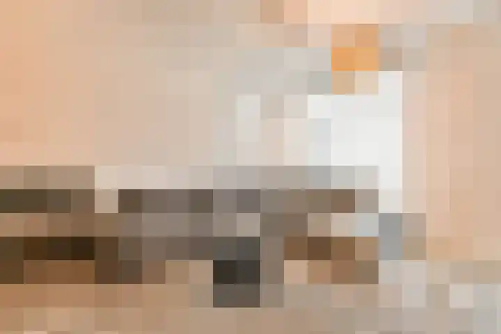 Oranjerie 9 Dordrecht thumbnail 6