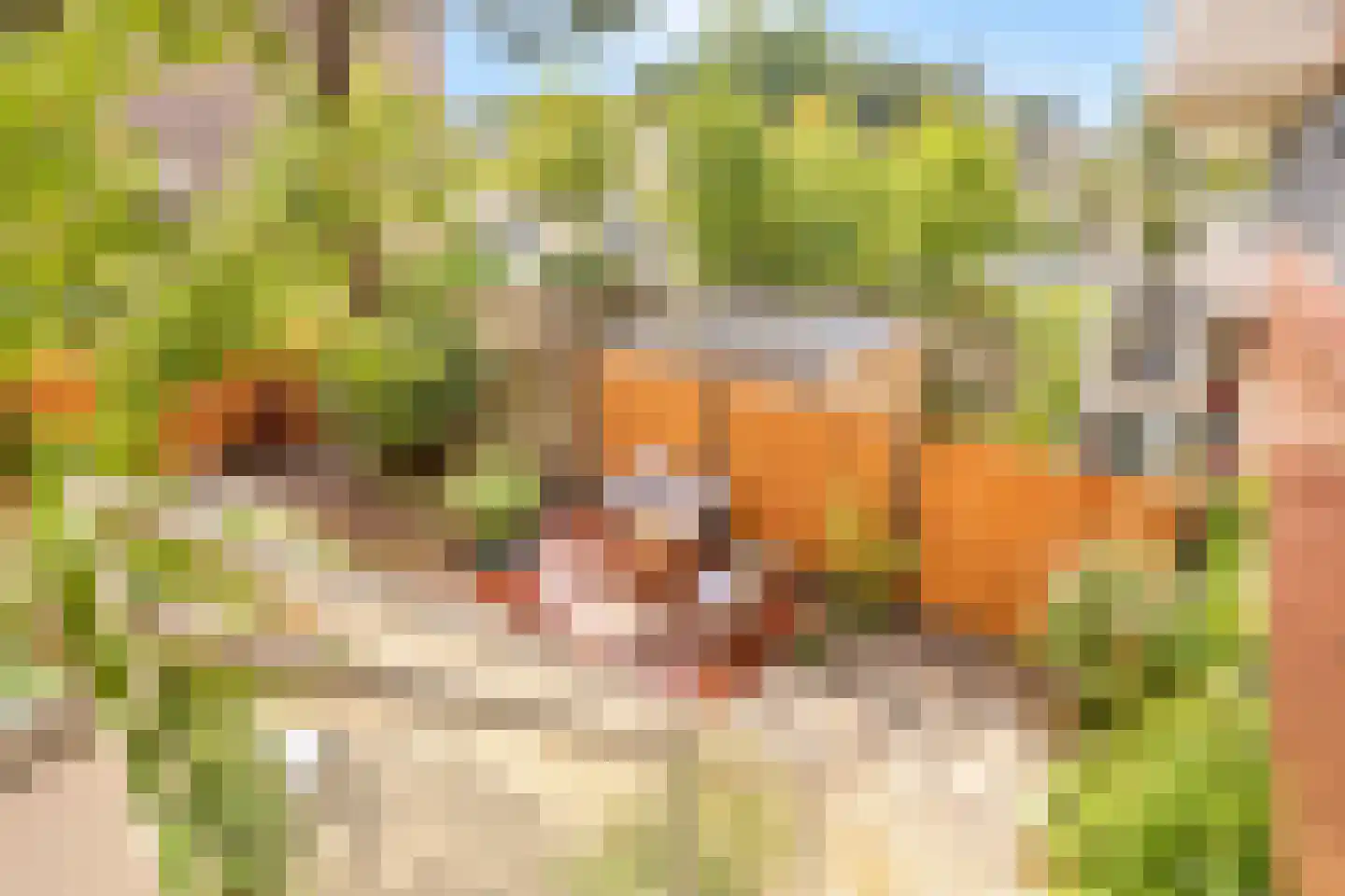 Oranjerivierdreef 31 Utrecht thumbnail 19