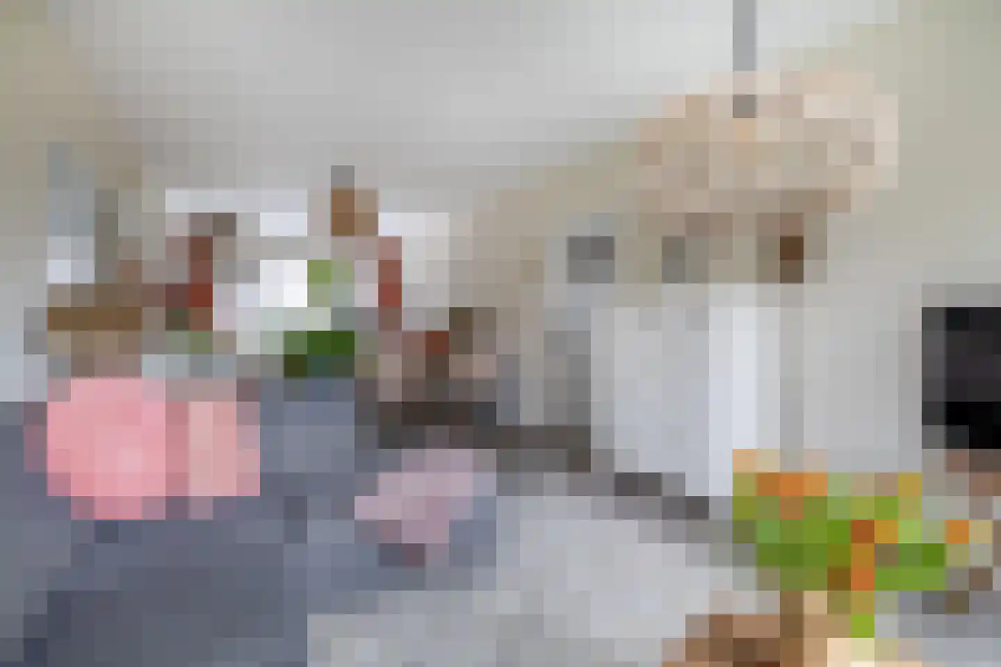 Oranjerivierdreef 49 Utrecht thumbnail 11