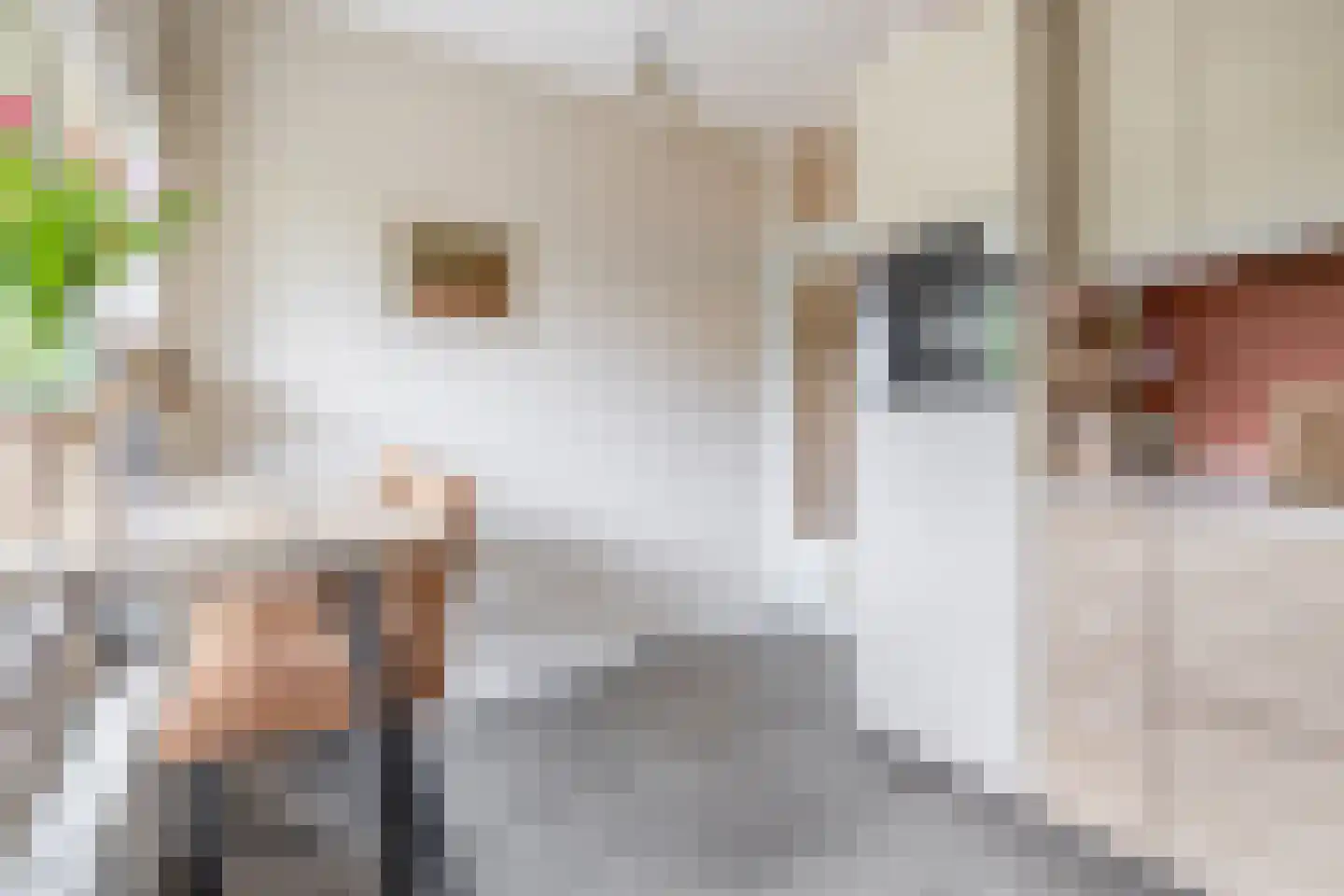 Oranjerivierdreef 49 Utrecht thumbnail 17