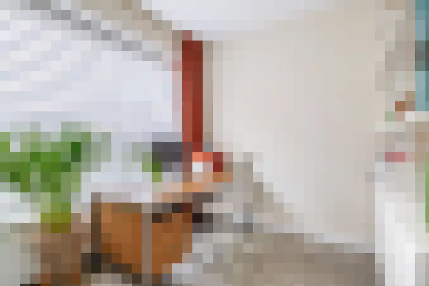 Oranjerivierdreef 49 Utrecht thumbnail 30