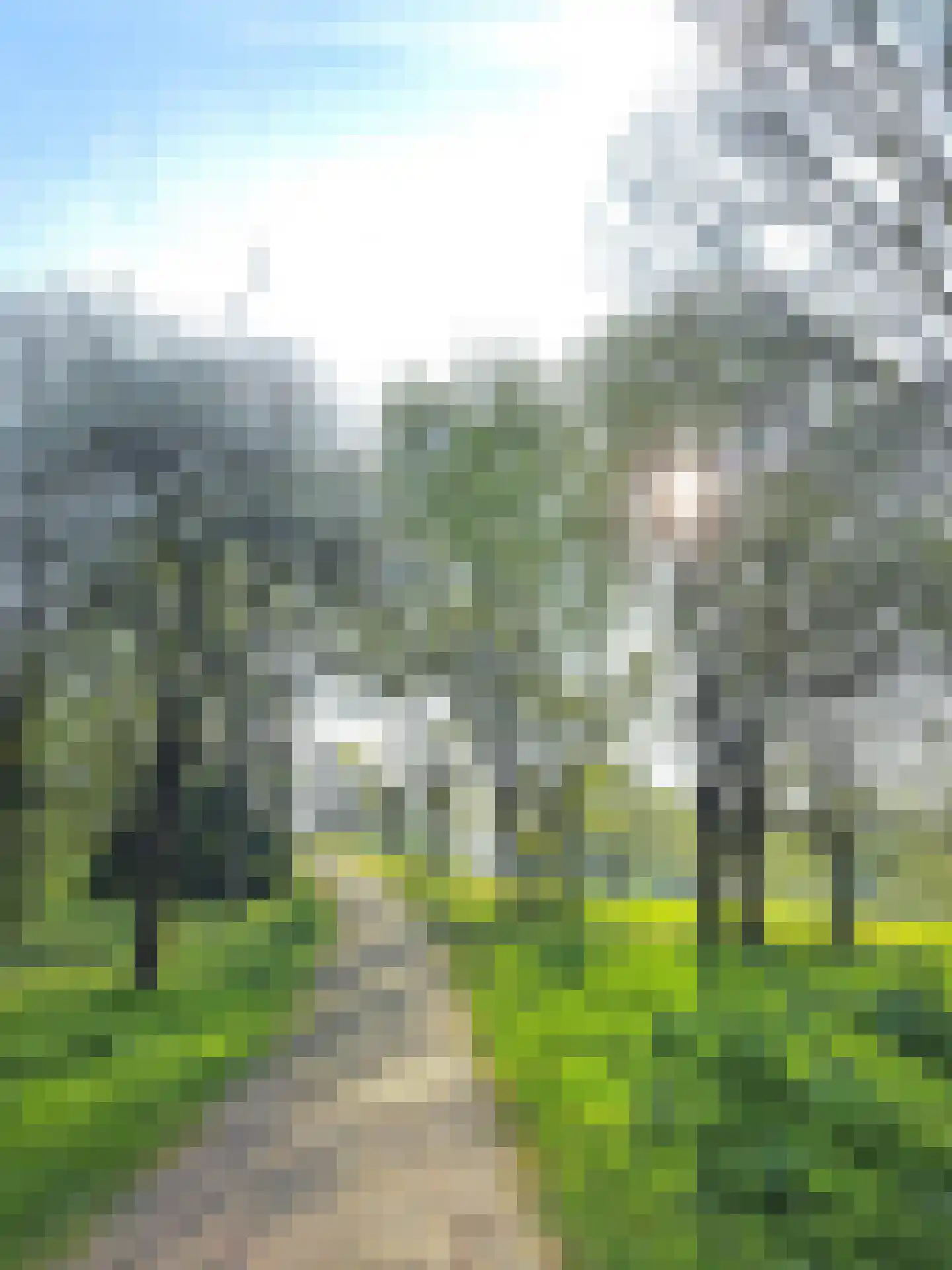 Oranjerivierdreef 49 Utrecht thumbnail 39