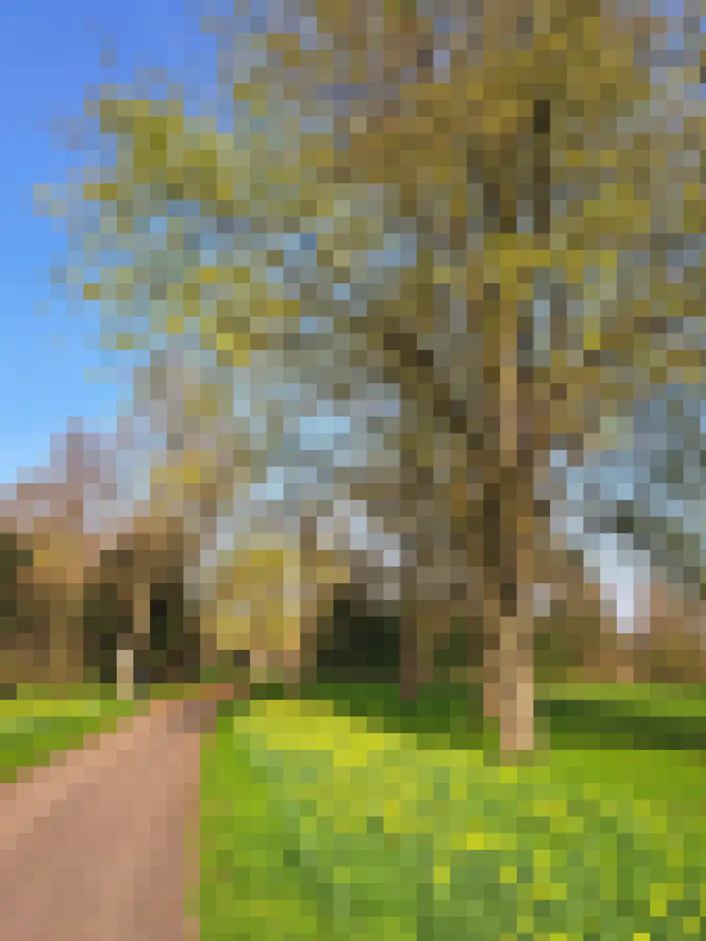 Oranjerivierdreef 49 Utrecht thumbnail 40