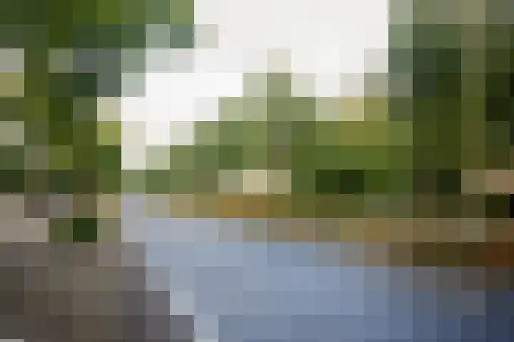 Oranjerivierdreef 5 Utrecht thumbnail 20