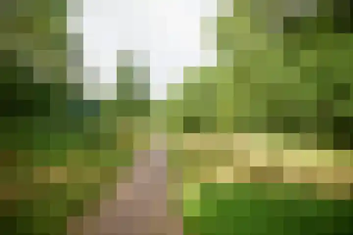Oranjerivierdreef 5 Utrecht thumbnail 21