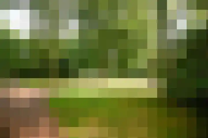 Oranjerivierdreef 5 Utrecht thumbnail 22