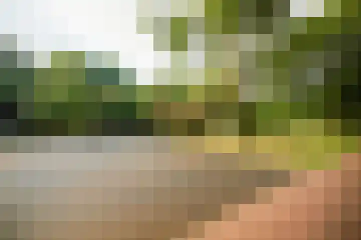 Oranjerivierdreef 5 Utrecht thumbnail 23