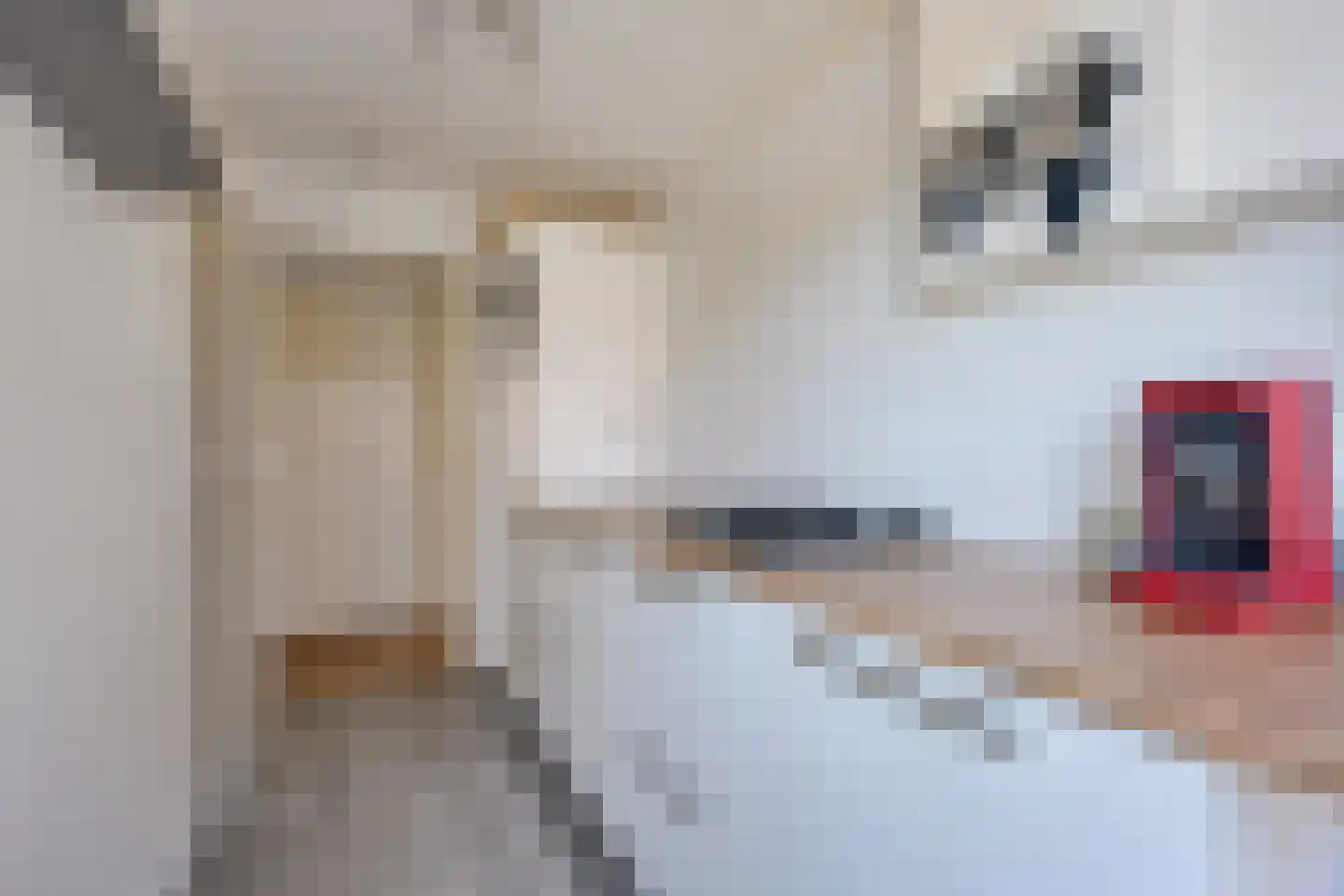 Oranjerivierdreef 53 Utrecht thumbnail 17
