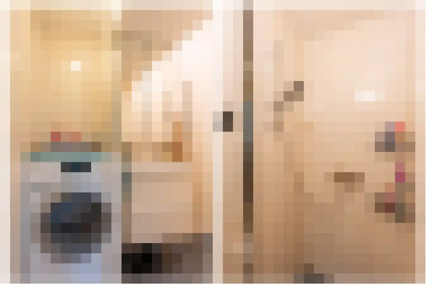 Oranjerivierdreef 53 Utrecht thumbnail 25