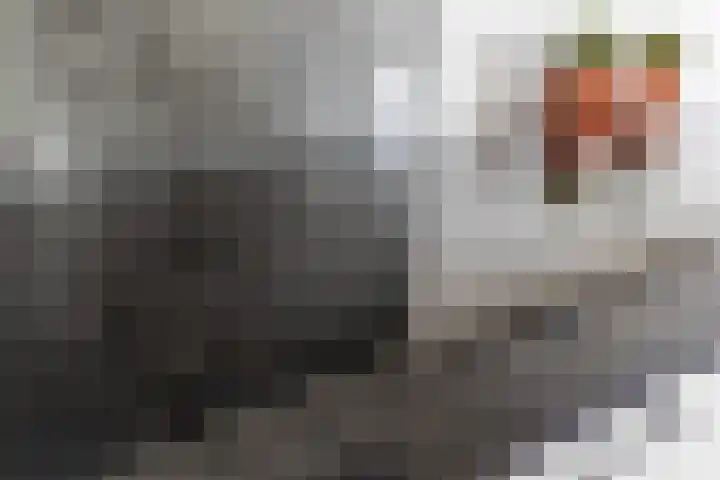 Oranjerivierdreef 93 Utrecht thumbnail 12