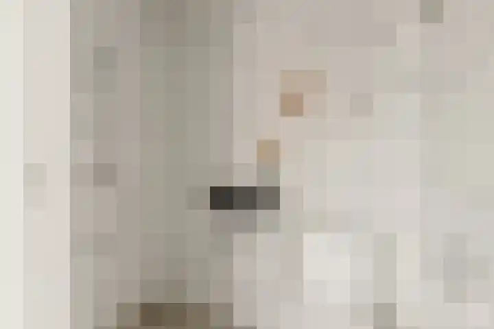 Oranjerivierdreef 93 Utrecht thumbnail 33
