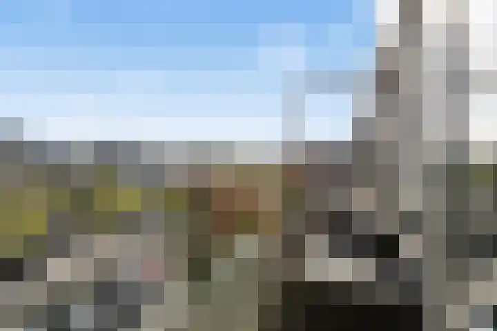 Oranjerivierdreef 93 Utrecht thumbnail 40