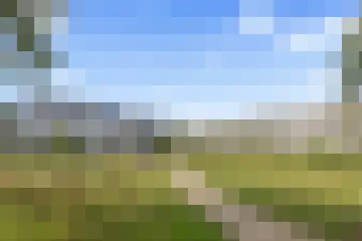 Oranjerivierdreef 93 Utrecht thumbnail 52