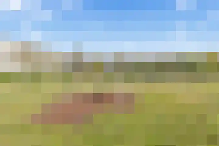 Oranjerivierdreef 93 Utrecht thumbnail 53