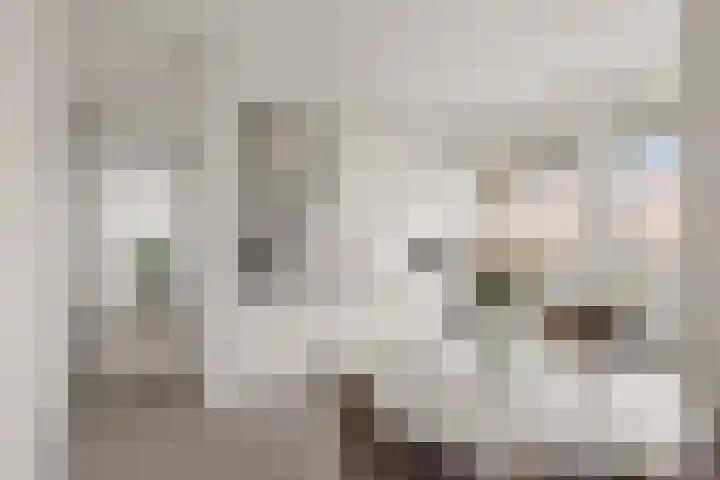 Oranjerivierdreef 93 Utrecht thumbnail 6