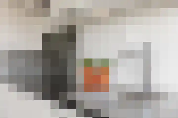 Oranjerivierdreef 93 Utrecht thumbnail 8
