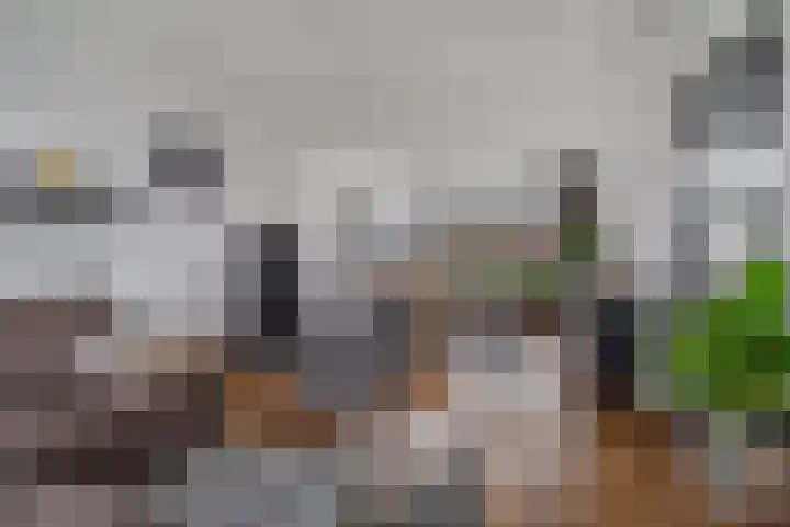 Oranjesingel 13 Hedel thumbnail 10
