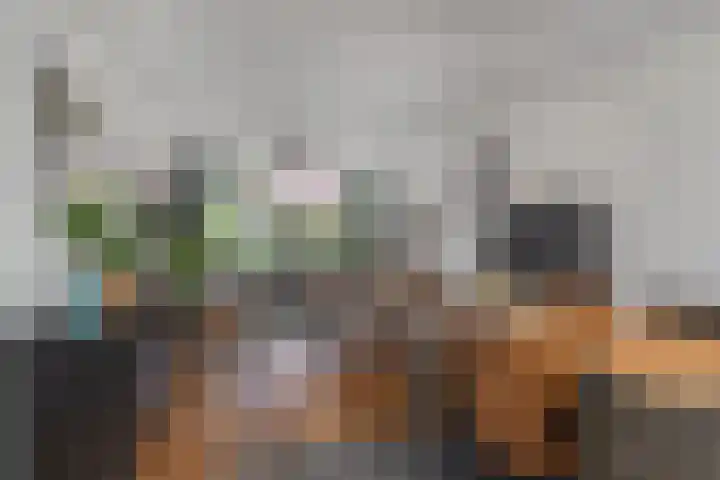 Oranjesingel 13 Hedel thumbnail 11