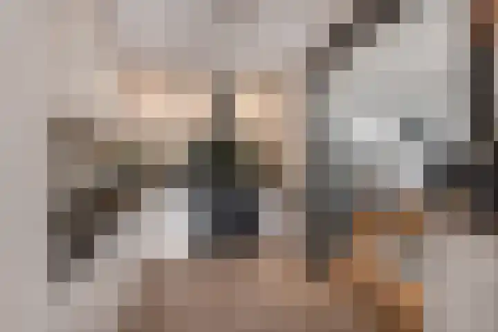 Oranjesingel 13 Hedel thumbnail 13