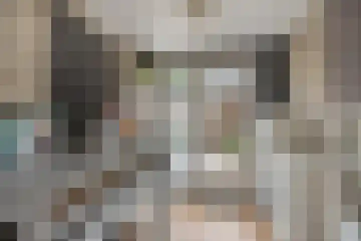 Oranjesingel 13 Hedel thumbnail 15