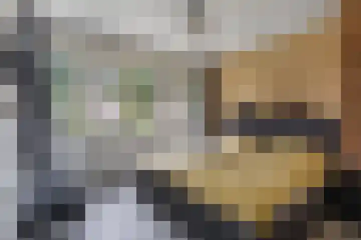 Oranjesingel 13 Hedel thumbnail 17