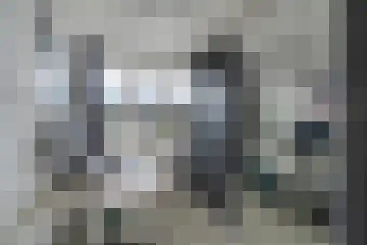 Oranjesingel 13 Hedel thumbnail 19